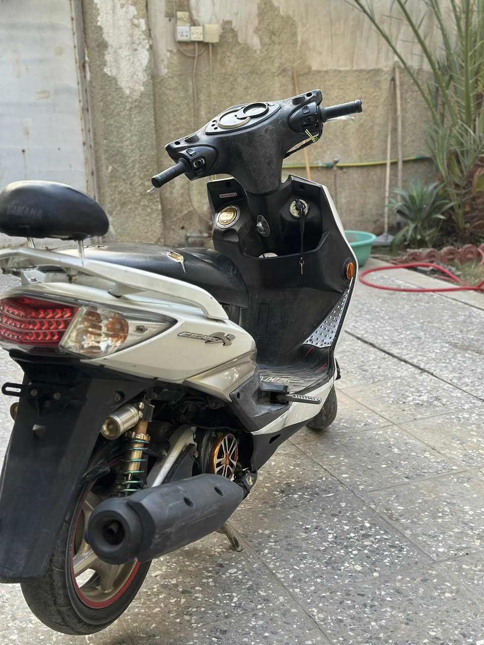 السلام عليكم شباب

 سكنس فحل خمسينية للبيع

عليه تزويد خارجي فقط اصلي مكينه بلاد برغي مامفتوح كفاله دراجه من برغي للبرغي

تزويد عليه 
صدر انسي واي وفج فرندو

فلنجه رياضي ماشادهً أنطيه الك ويه دراجه

قبق بانزين مختلف شكل بستم

ستان بوش اصلي

قبق فلاوين اصلي 

فراك انسي واي ماشاده أنطي الك ويه دراجه

شمعه مال مكينه اصلي مشاده انطيه الك ويه دراجه 

دواسات كاعيه

تجوه اصليه 

قبق كلجات كاربون شوته كاربون فلاوين كاربون 

دبل خلفي رياضي اصلي سبرنك سبع ألوان

بدأت بريك رياضي اصلي مشاده أنطيه الك ويه دراجه

كلجات رياضي شلعه معدل فول💯

يولد دراجه بترابه ماعندي وكت اغسله 😂نضافه كفر 100‎%‎

ملاحضه❗️❗️لحد يكلي شبيه مابيه دراجه من طول لطول بلاد اني شدتله تزويد جماليه نكره سلف كلشي شغال بيه مكينه ناعمه  لون دراجه صدفي مميز 🧏🏽‍♂️سعر خاص اتصل واتساب متواجد

رقم❗️***********
