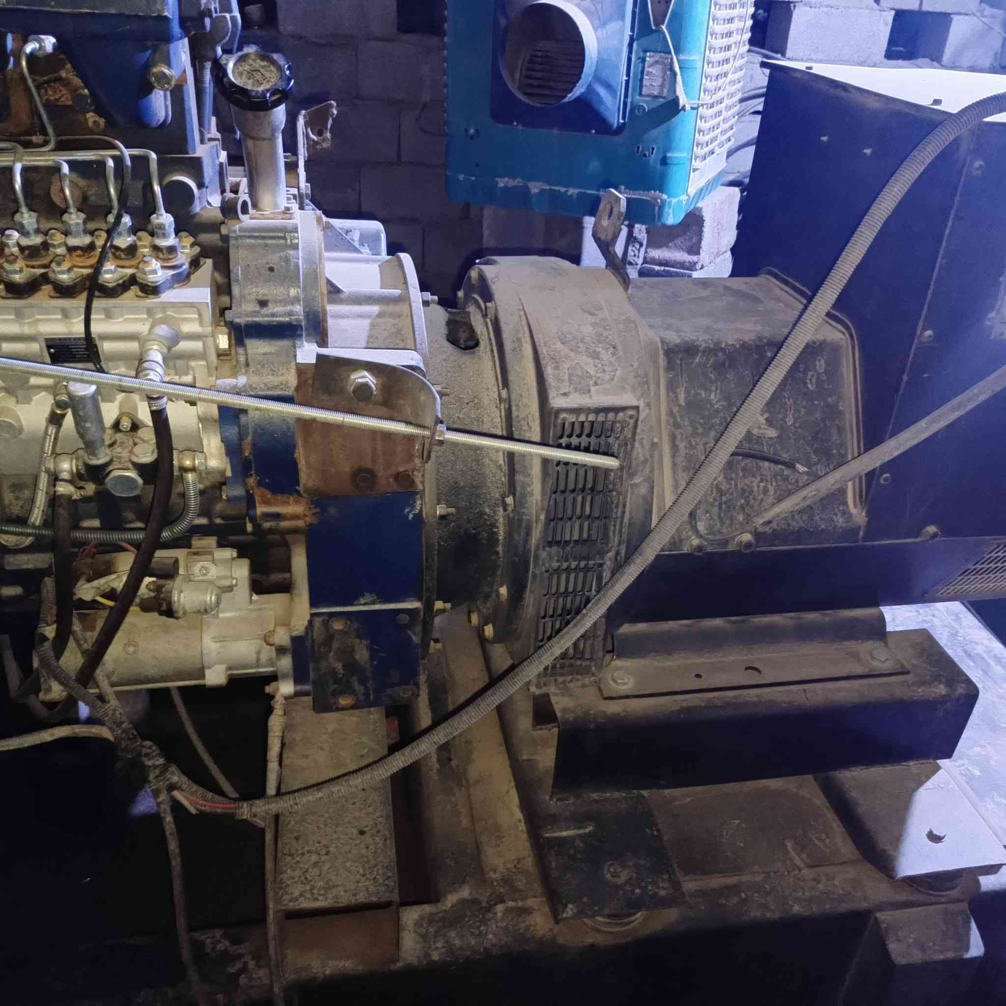 للبيع شتاير ٢٤لا تنقيص ولا تبخير راس توالد ٢٢٥السعر ٥٠عله حمل ***********
