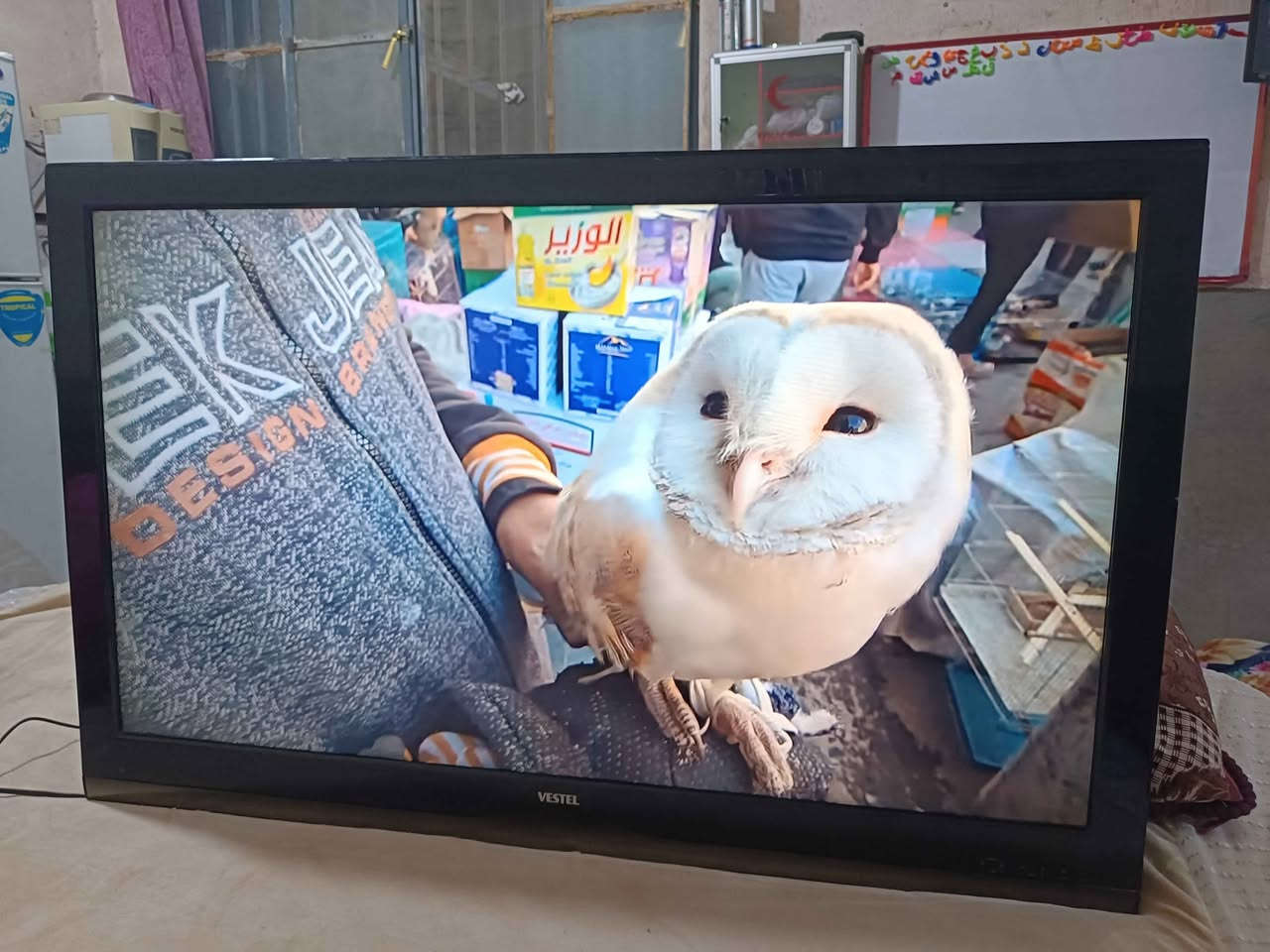 شاشه نوعها فستل اصليه  صناعه كوري حجمها 50 بدون انترنت  الوان طبيعيه وصوت ستيريو قوي فول اج دي شرط النضافه والفحص السعر 180 العنوان كوفه النجف, العراق


**إذا كنت صاحب هذا الإعلان وتريد حذفه لأي سبب، رجاءا أرسل رسالة إلى الدعم الفني**