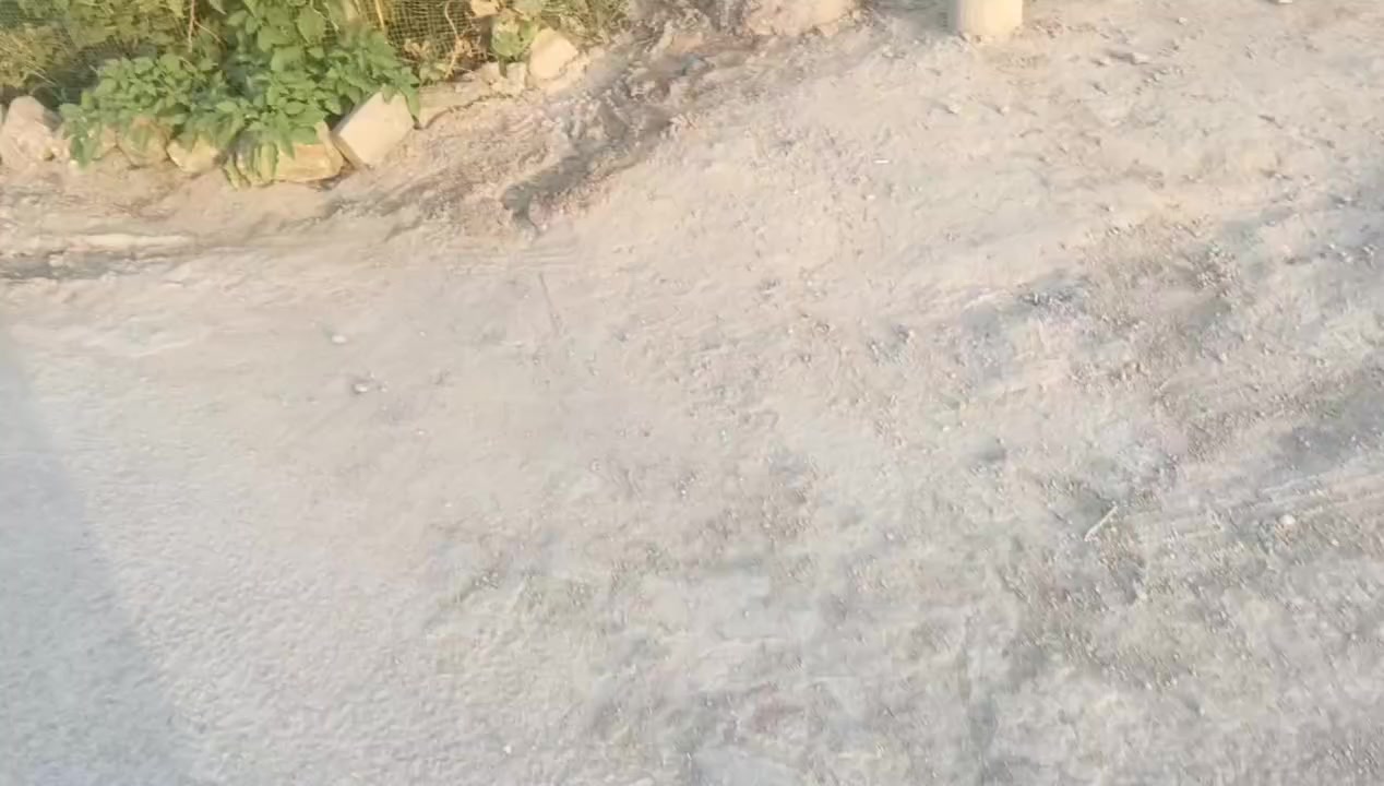 سلام عليكم بيت مساحته 200 متر موجمع نبيل شارع چفل بدايت موجمع
وجه ٧بيت جاهز غرفتين ٥في٥ صاله ٧ في٤ استقبال ٧في٤
صيحات  جوه وبره  مومو ١٠ طول وعرض متر ونص  صطح
فرشي صتاره كامله  ***********
