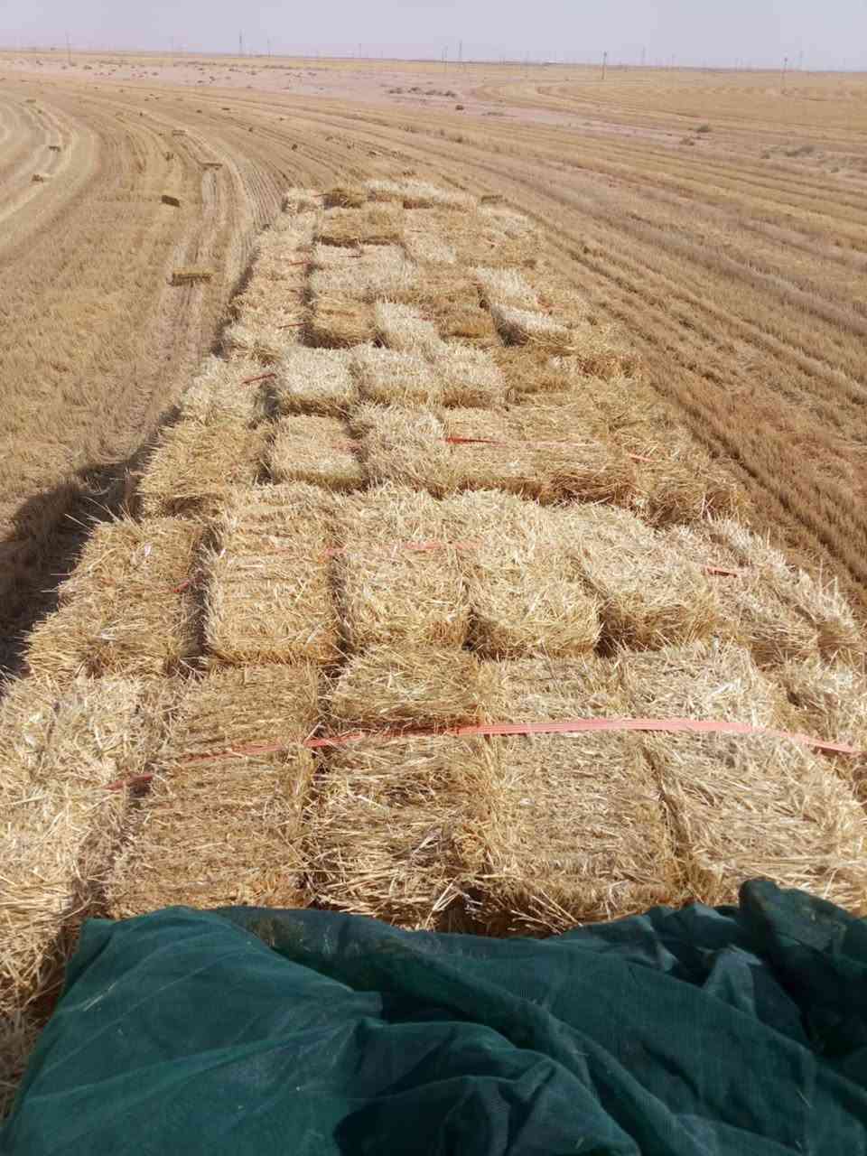 يوجد كبس تبن للبيع درجه اولى واصل جميع المحافضات ***********
