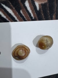 قديم • إكسسوارات شخصية