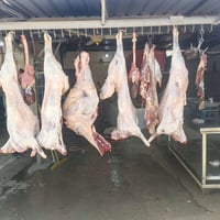 بسم الله الرحمن الرحيم  لحم غنم هرفي عراقي  لحم عجل زغير عراقي  مكان ب...