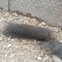 لفة بيارسي • ٢٥م • أصلي قديم