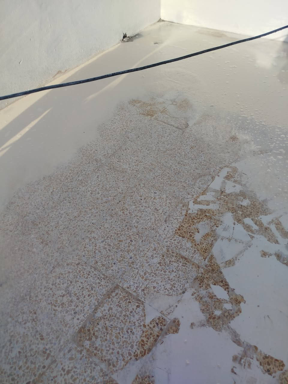 (مكتب الصديق)✅
مستعدون لجلي كافة أنواع الكاشي ☑️
وكافة انواع والمرمر  وتنضيف البورسلين 
كل انواع الكاشي القديم والجديد 
الاسعار بالمتر اكثر من 100 وفوك ناخذه بالمتر اقل من 100 متر ناخذه طوب 🏠
مكان الشغل في الموصلنا الحبيبة 🏨
الاستفسار اكثر الاتصال بالراقم ✅

☎️***********
الواتس اب ☎️ ***********
