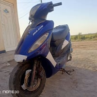 جيفور • سلف • جاهزة