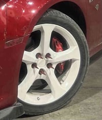 جنوط كمارو • ابيض • بغداد