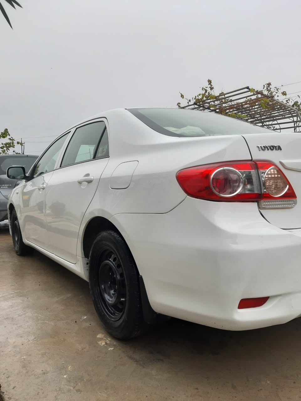 تۆیۆتا کرۆلا مۆدیل 2013 مواسفات خەلیچی مەکینە بجوک گیر و مەکینە بەشەرت بۆنیت و چاملغی لەی سەکنی بۆیاخە لەی سەکن ناوی گرتوە ئیرباگی تەقیە رەقم و سەنەوی نویە تا 2030 تازە فەحس و هەزەی بۆ کراوە تەحویل و وەکالە بە شەرت چوار تایەو ویلی تازەی لە ژیرە  سعری 113 وەرقە تۆزیک مجال رەقم تلفون *********** أربيل, العراق
