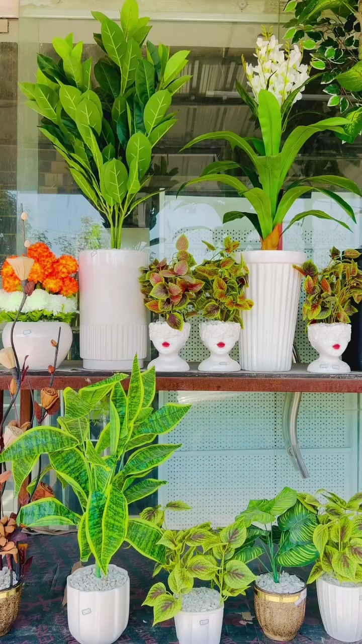 خانقين مقابل معمل النسيج مجاور دلسوز البزاز مفتحين من 2 الى 12 مساء @أبرز المعجبين


**إذا كنت صاحب هذا الإعلان وتريد حذفه لأي سبب، رجاءا أرسل رسالة إلى الدعم الفني**