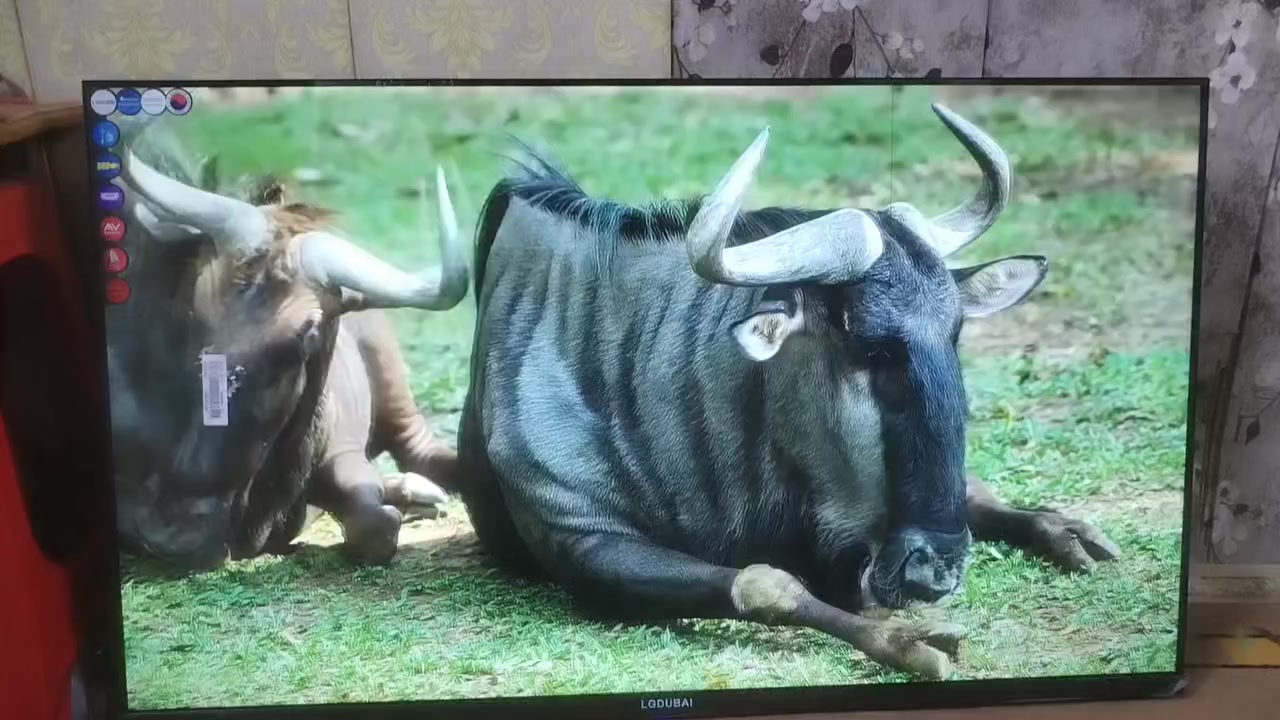 السلام عليكم بلازما حجم 43 ال جي دبي غير مستخدمه نت فول مواصفات بيها خط مثل ماواضح بالصورة بغداد مدينة الصدر السعر 135...


**إذا كنت صاحب هذا الإعلان وتريد حذفه لأي سبب، رجاءا أرسل رسالة إلى الدعم الفني**