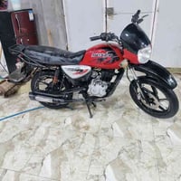 بوكسر جبلي • موديل ٢٠١٩ • ميمونه