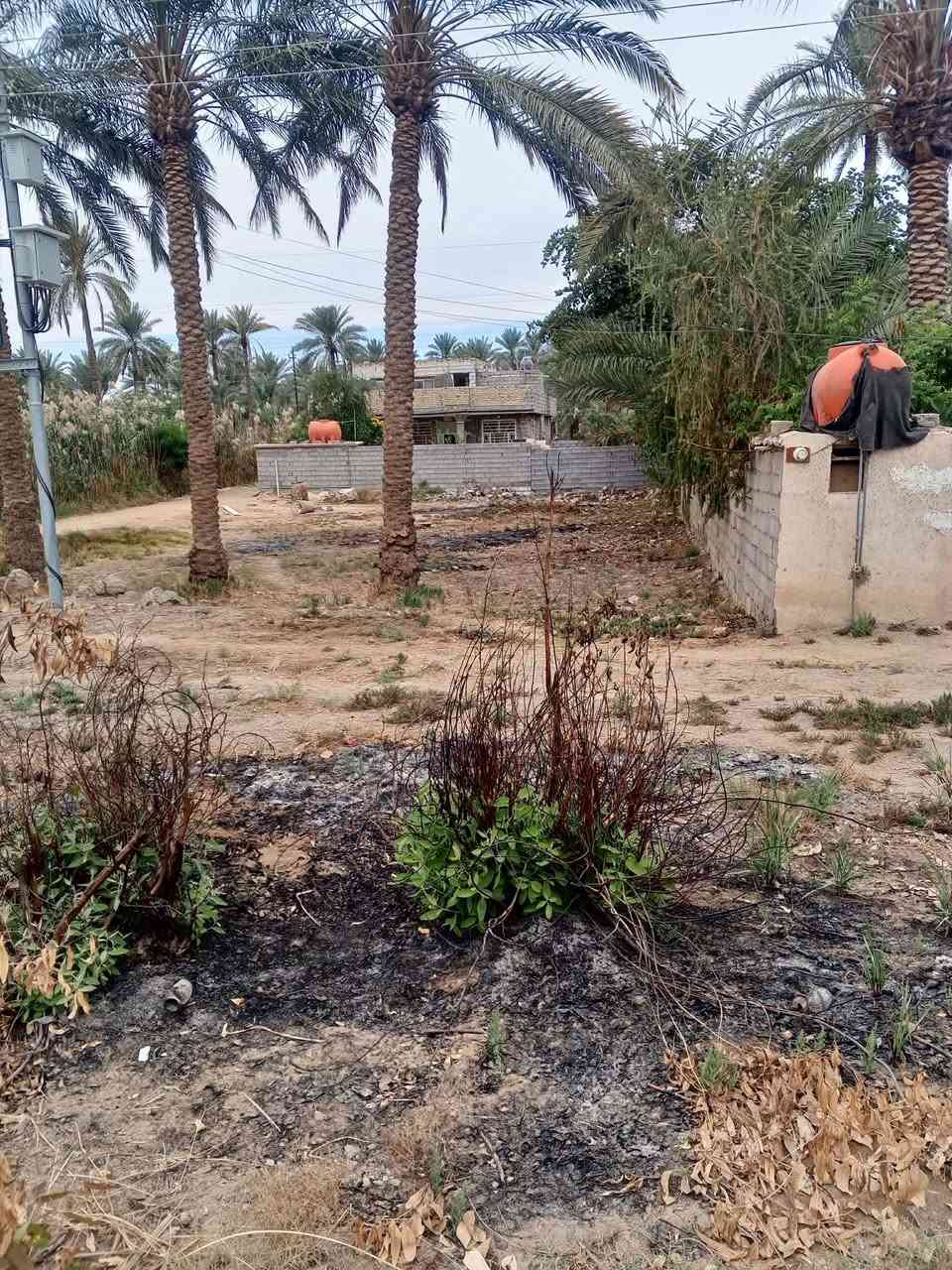 السلام عليكم دار +قطعه البيع المساحة 1000متر السعر 125وبي مجال بعض التفاصيل اتصل برقم ***********العنوان كربلاء سياحي الدعوم قرب سيد ستار العرداوي
