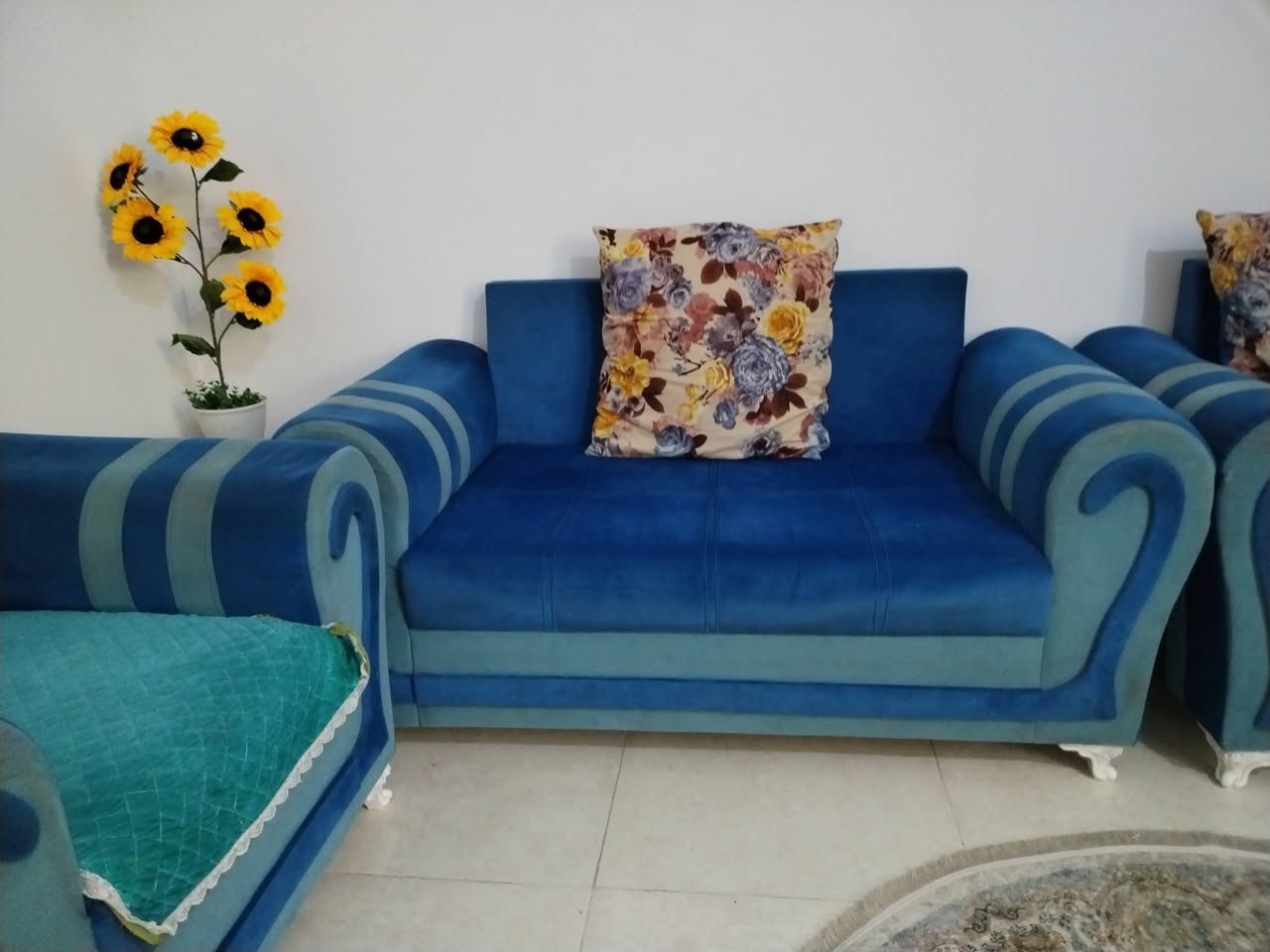 تخم تركي ١٠مقاعد ١٩٠بي مجال الاتصال على الرقم ***********
