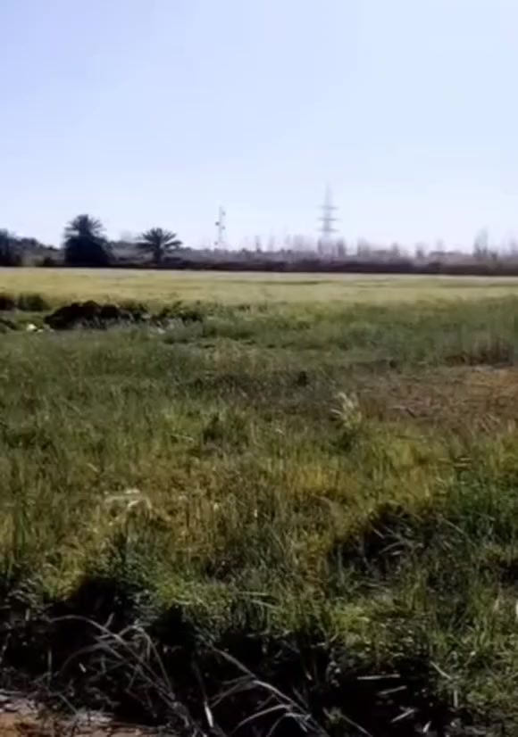 بيت للبيع او مراوس للاستفسار الاتصال ع الرقم ***********// ***********
