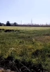 بيت للبيع او مراوس للاستفسار الاتصال ع الرقم 07818071967// 07713510113