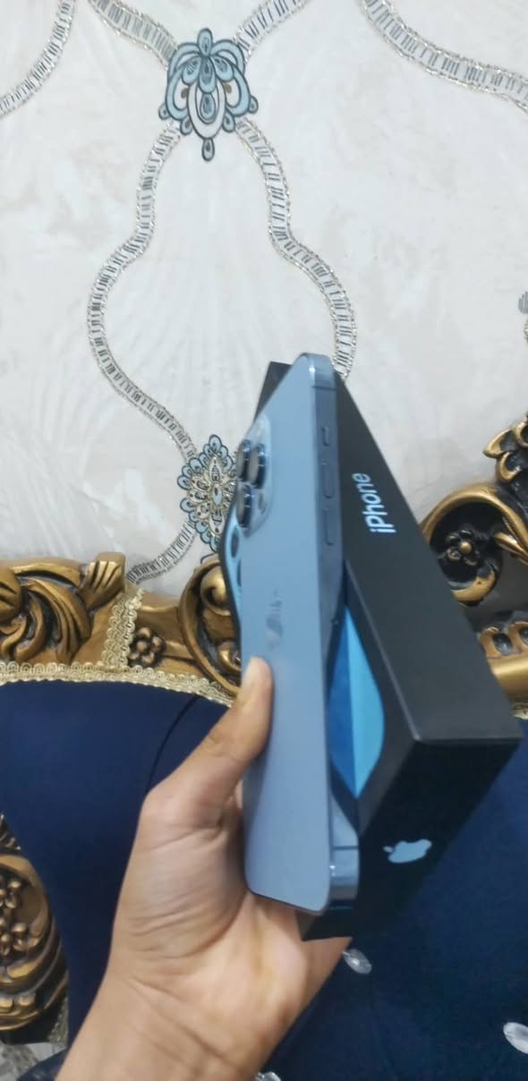السلام عليكم ايفون 13 برو ماكس ذاكره 256 بطاريه 87 كامل ملحقات وتر بروف شرط فحص  الجهاز اخو الجديد يمنعني الكلمه نظافه 100% 100 اللون المميز البحري المكان الناصريه المركز رقم التليفون *********** السعر 680 قفل قفل
