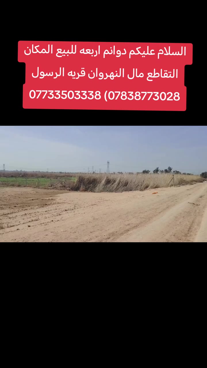 السلام عليكم  ***********) ***********
