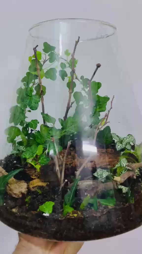 السلام عليكم رمضان كريم وصيام مقبول
اخوان الي يريد هيج تحف بأي حجم واي تفاصيل مستعد الاخ أحمد خضر يوفرهن آلى بكافة التفاصيل والقياسات والاسعار مناسبة جدا حبيت الكل تستفاد لأن اني طلبت منه وإن شاء الله هم راح اخذ منه قياس اكبر .كل التوفيق والنجاح عمي شغل ولاغلطة .طبعا الفيديوهات هذا الشغل ماكامل بعد اكو اضافات تحياتي لكم جميعا 
@الجميع 
@إشارة


**إذا كنت صاحب هذا الإعلان وتريد حذفه لأي سبب، رجاءا أرسل رسالة إلى الدعم الفني**