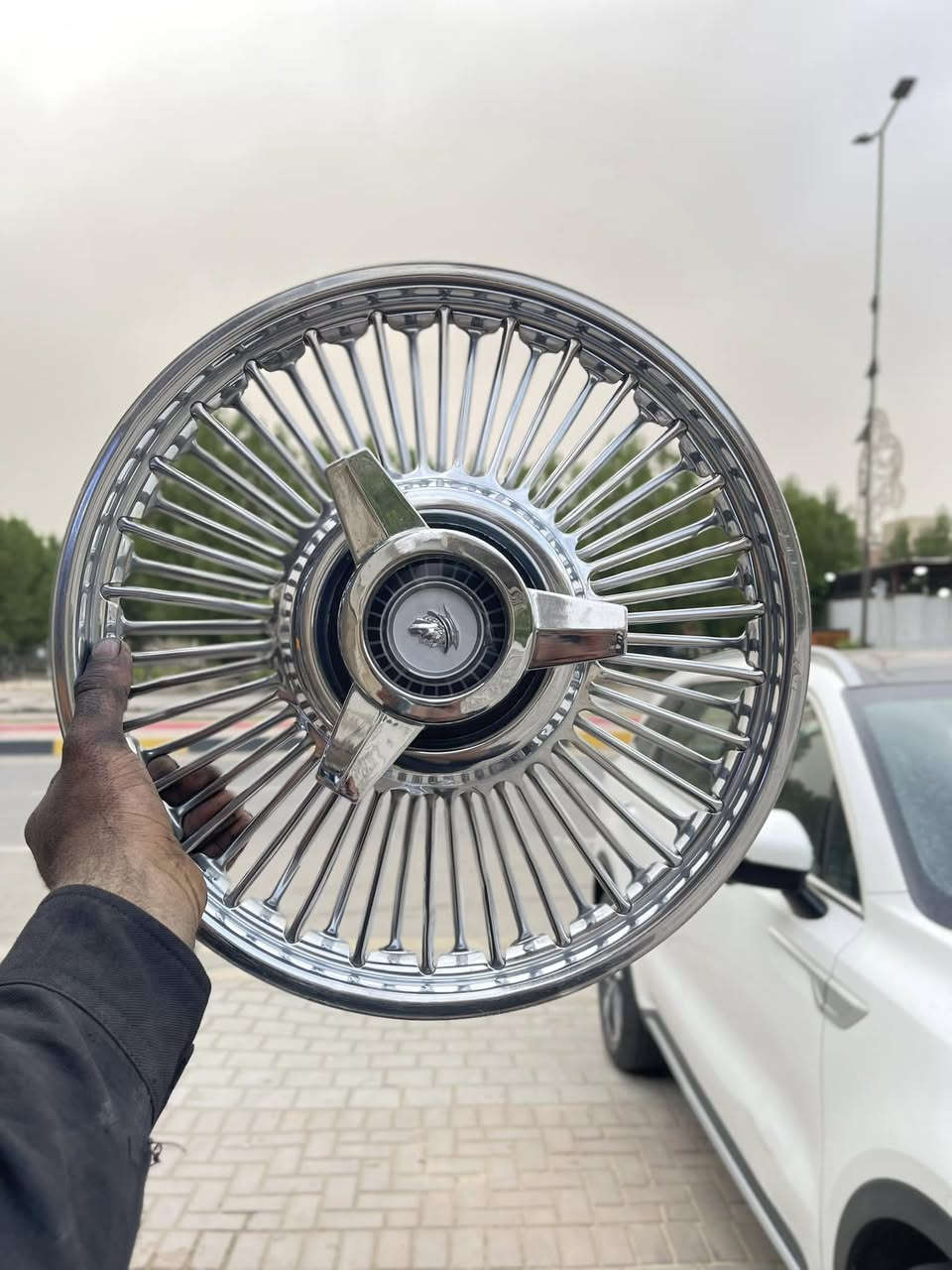 سلام عليكم كبات حجم ١٤كلكسي نضفتهن 95البيع سعرهن 825وببهن مجال حك الجيه ويدلل العنوان بغداد الشعب حي سومر مامتواجد عل خاص بس عل هاتف 📞 ***********🩷💁🏼‍♂️
