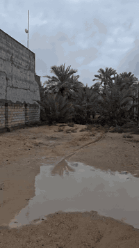 للاستفسار ***********
