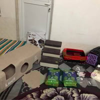 اشياء قطط • جديدة • توصيل اربيل