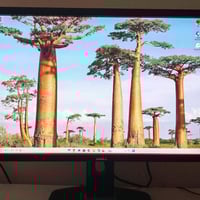 شاشة ديل • 24 بوصة • حالة ممتازة