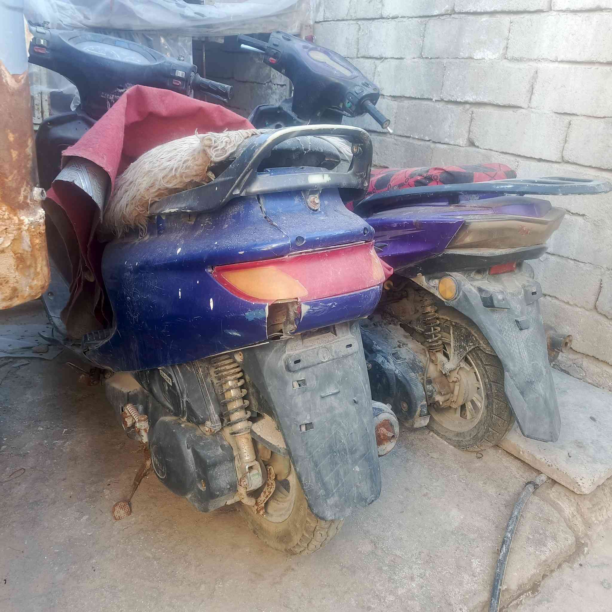 سلام عليكم اخوان دراجات البيع / سكنس/وفراشه/نضيفات بس عطلانات السكنس باتري كاعد/والفراشه كاطعه نار/سعر 250 ثنينهن الشراي يجي خاص وبيه خير ويدلل مكان ناصريه سوك شيوخ رقمي ***********
