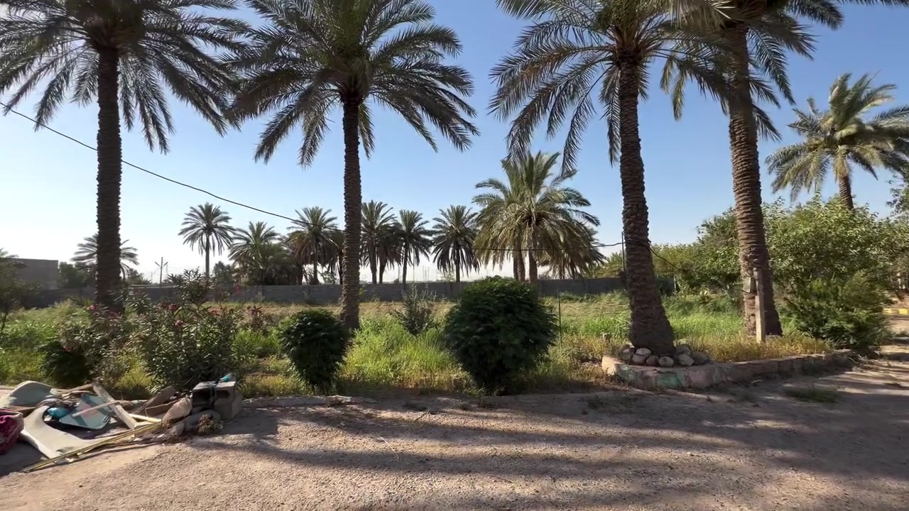 مزرعة 3 دونم للايجار مع بيت يتكون من صاله و3 غرفه نوم وصحيات داخليه وخارجيه وحدائق عدد 2 وايضا يحتوي على حقل دواجن في حال اراد المستأجر ان يشغله العنوان الدوره هور رجب قرب بيت صوال للاستفسار ***********
