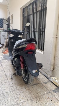 عدي • جديدة • بغداد