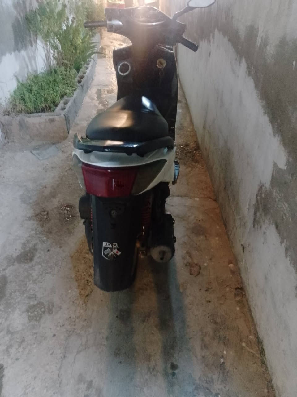 سكنس فحل ياباني كابريتا بعقوبه تحرير550 وبيها مجال او مراوس بكير ***********
