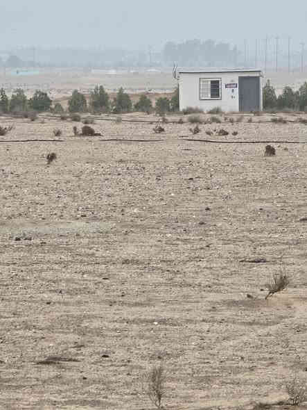 السلام عليكم
٦ دوانم للبيع بيهن كهرباء وطنيه سعر الدونم ٦ ملايين 
العنوان طريق سفوان زبير النزله قرب معمل بلوك ديالى تبعد عن الشارع ٢ كيلو
***********
