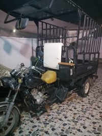 توك توك • ام تيار • ١٤