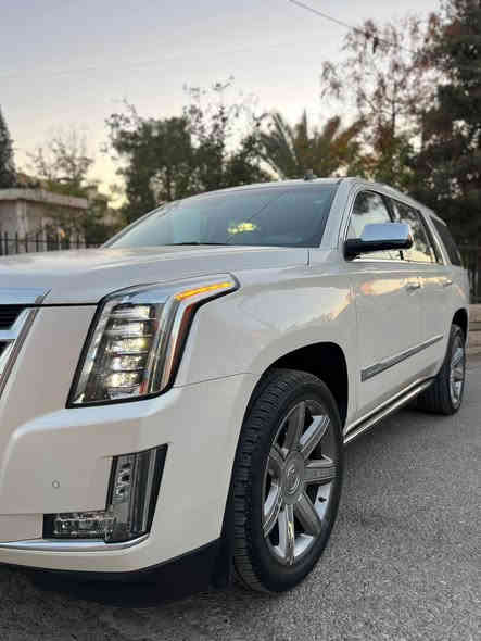 عربي// 

كاديلاك /  Cadillac 
موديل/  ٢٠١٥ خليجي 

كلين ، بدون صبغ 
عندة pdr  

بدون دواخل ، بدون ايرباك 

محرك ( ٦.٢ و v.8 ) 

رقم أربيل سنوية جديد 

١٣٠ ألف كم ماشي 

مواصفات فول حتى الدوسة كهربائي  
Platinum 

سعر/( $ ٣٢٠٠٠ )

کــــــــوردی :ٓ 

کادیلاک / Cadilack 
مۆدێل / 2015 خلیجی 

کلین ، بێ سبووغ 
چەند جێگایک pdr 
بێ ژوورێ ، بێ ئێڕباگ 

مەکینە{ V8  ، 6,2 } 
ڕەقەم هەولێر سەنەوی نوێ 
ڕۆیشتن ( 130,000 km )

مواسفات platinum فوول
هەتا دۆسەش کارەبایی 

نـــــــرخ ( 32000 $ )
*********** كركوك
