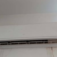 سبلت • اوكس • نص موسم