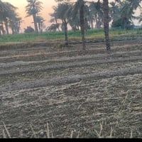 ٥دونم • طابو ٢٥ • خلف بسمايه