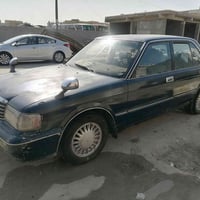 أرنب نيلي • ناصريه • للبيع