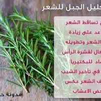 زيت اكليل الجبل • معصور عالبارد • ايقاف التساقط