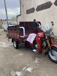 ستوته • دايون • ٢٠١٩