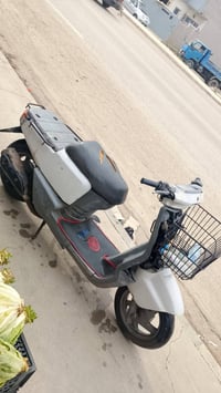 ماطور بيكم • معدل • قوسيات