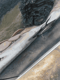 ٢٠٢٣خليجي اي سي ٣٠٠ماشيه ٨٥الف للاستفسار الاتصال ***********
