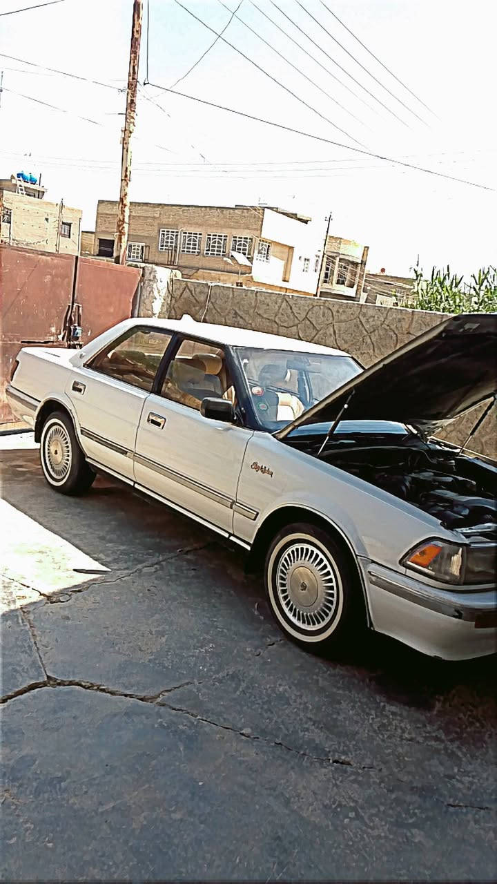 سلام عليكم 
للبيع سوبر هارتوب موديل 91 كير ومحرك بطه اوتوماتيك
محوره تحوير مضبوط تخم تاير جديد باتري سلف دينمو كله جديد ويلاه جدد  سياره جاهزه من كلشي ما عده التبريد 
السعر 65 وبيهه مجال حك الجيه الاتصال  ***********
***********
