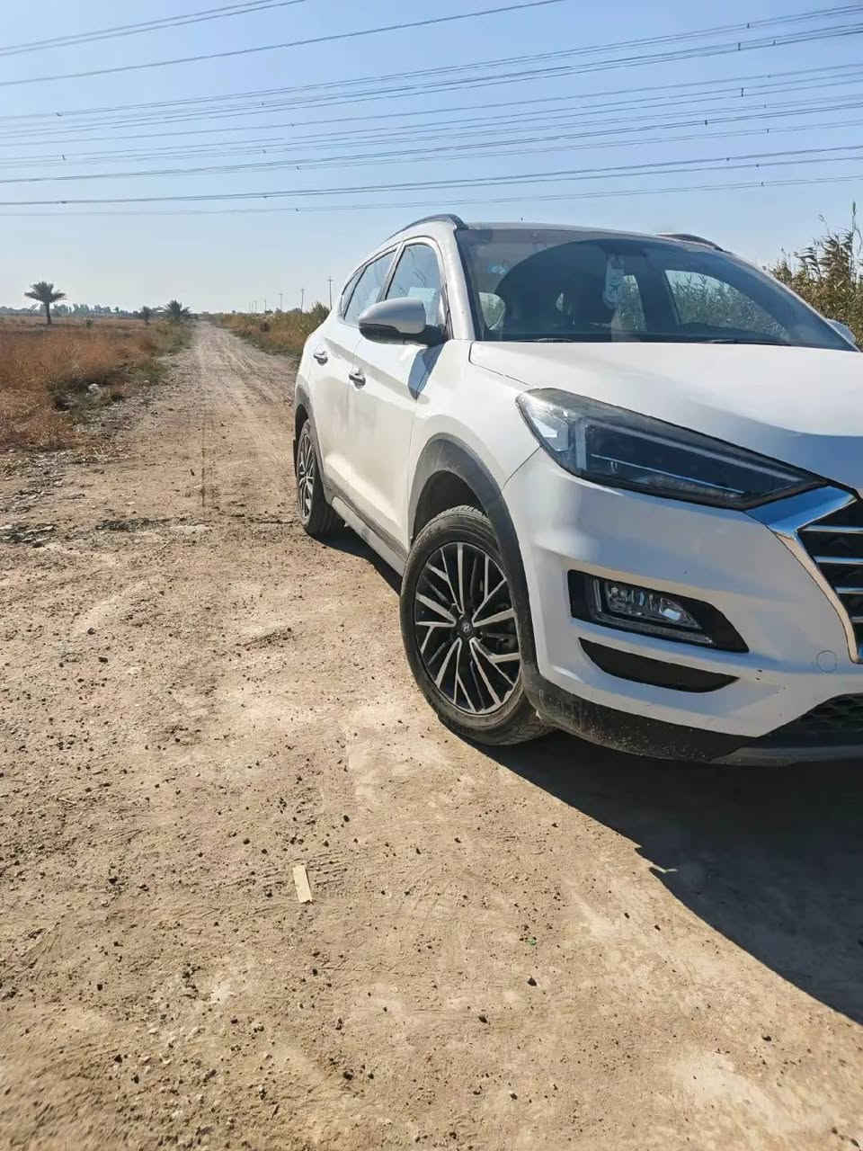 توسان عشرين خليجي البيع
