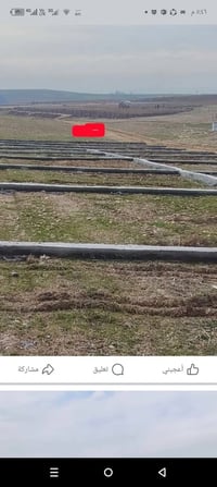 أرض مقبرة • القوسيات • ١٠٠م