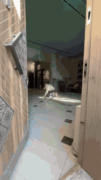 بغداد #جبس بورد #اصباغ #بديل خش ب 
 #العراق #ديكورات #ديكور #بلازمات #شيبورد #بغداديات #الدوره #السيديه
 #بغداد #الجديده #ديكوراتى #جوتن #اصباغ جوتن #جبسيه #ديكور ملكى #ديكور مودرن #ديكور كلاسيك #بورد
للتواصل *********** واتساب
