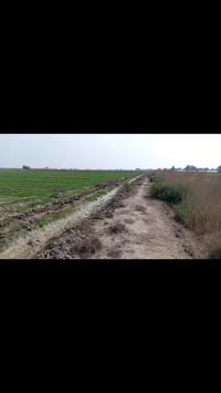 دوانم للبيع حي الفرات يم بيت ابو خطاب يم معمل حلام راشد خمسه دونم السع...