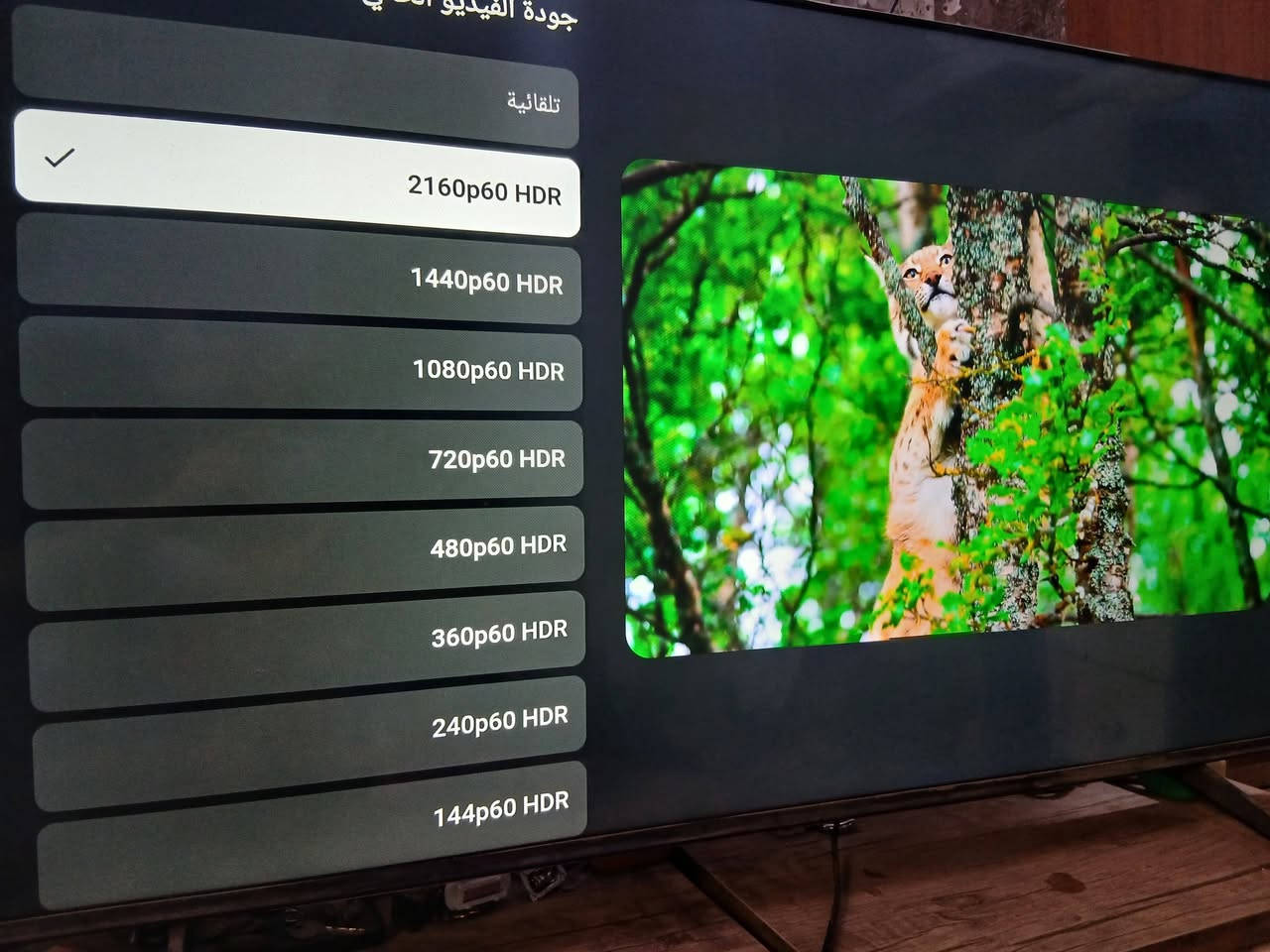 شاشة للبيع هايسنس UHD 4k حجم 50 بوصة سمارت
4k حقيقي بلوتوث ربط اجهزة الاندرويد وابل وتدعم نظام البحث بالصوت عن طريق الريمونت
دقة الشاشة: يدعم الجهاز دقة 4K UHD لتجربة مشاهدة فائقة الوضوح.تقنيات الصوت والصورة: يحتوي على تقنية Dolby Vision لتحسين الصورة و DTS Virtual X لتجربة صوتية محيطية.الميزات الذكية: يوفر الجهاز وضع الألعاب (Game Mode Plus) ووضع الرياضة المدعوم بالذكاء الاصطناعي (AI Sports Mode)، بالإضافة إلى الوصول المباشر إلى منصات البث مثل Netflix و YouTube وشاهد و TOD و +OSN 
Prime video و KiD و  VIDAA 
السعر .. 350 الف 
العنوان / حي الجزائر


**إذا كنت صاحب هذا الإعلان وتريد حذفه لأي سبب، رجاءا أرسل رسالة إلى الدعم الفني**