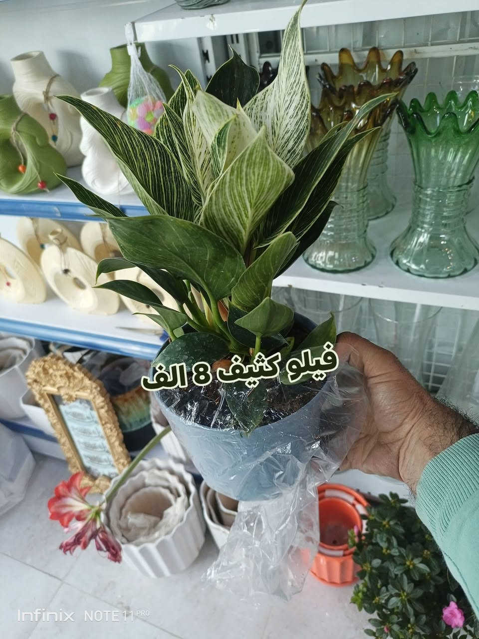 الانبار الرمادي العزيزية مكان الجديد...من جهة شارع العام  شارع ميسلون  اول فرع على اليمين *********** ... يوجد توصيل داخل الرمادي. @الجميع
