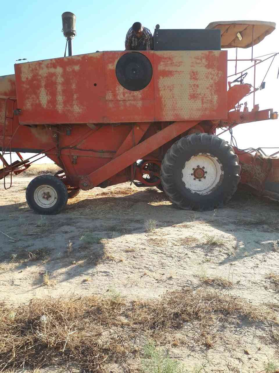 حاصودة لافردة اربع بلم للاستفسار على رقم ***********اسيا***********
