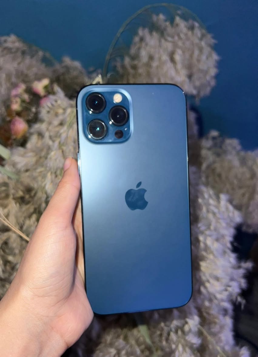 12 برو ماكس
نضيف مكفول شخط مابي
ذاكره 256
بطارية 75
خلي سعرك بما يرضي الله
الامين الثانيه


**إذا كنت صاحب هذا الإعلان وتريد حذفه لأي سبب، رجاءا أرسل رسالة إلى الدعم الفني**