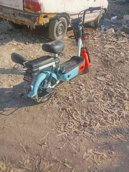 شغاله نضيفه السعر 180 ألف نهائي مكاني بغداد الأمين ه‍ *********** واتساب فقط
